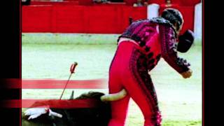 SYMPATHY KARMINA with lyrics