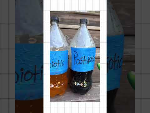 Secure your deal in bio 💎