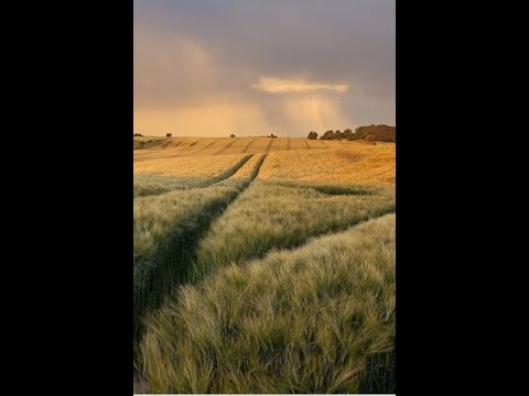 Industrial crop #Agriculture #Organic #e-learning #Food #FoodandAg