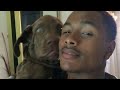 𝓹𝓵𝓪𝔂𝓵𝓲𝓼𝓽 Emotions Sculpted With The IPhone Steve Lacy