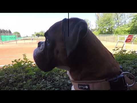 TUS Birk - Haus Rott