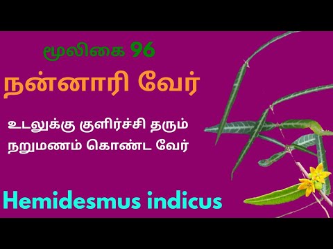 Nannari herbal root/indian sarsaparilla/hemidesmus indicus