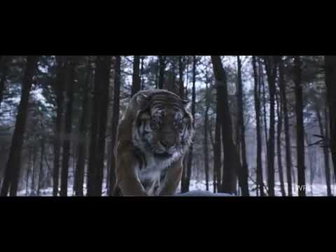 "Tiger and Lion Roar | The most badass roar in the movies"