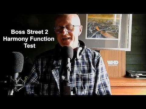 Boss Street Cube 2  Harmony Function  - Try this out! (Fields of Gold cover  a cappella)