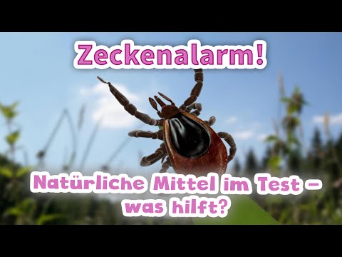 Schmerzende Herz zurück Salben Aktion in Osteochondrose