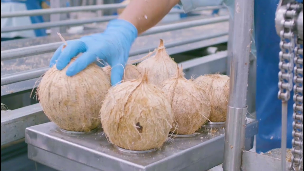 Кокосовая продукция оптом от импортера