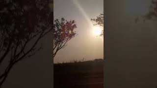 Download lagu Mentari Pagi Yang Indah mp3