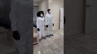 Learning about the Hantavirus outbreak on the cruise ship