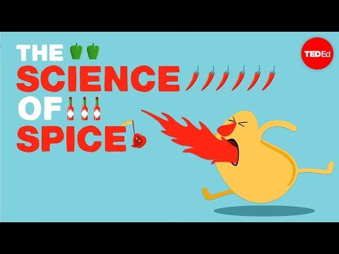 The Science for Spiciness