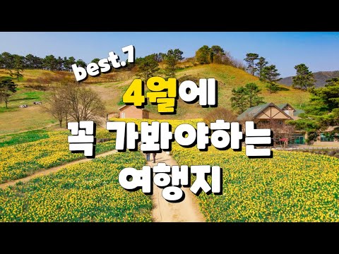 4월에 반드시 가봐야하는 여행지 7곳만 모아서 소개해 드립니다. 꽃 구경하실 때 꿀팁도 알려드릴게요!