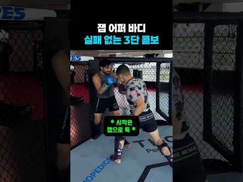 잽 어퍼 바디 실패 없는 3단 콤보 #격투기 #킥복싱 #레슬링 #태권도 #주짓수 #무에타이 #운동 #mma #wwe #ufc #헬스 #유도 #홈트