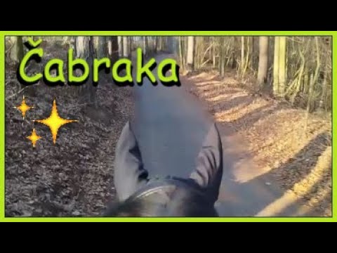 Jízda s čabrakou. Fešná čabraka.