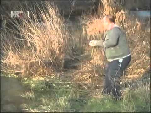 Raci u Vrljici► Play