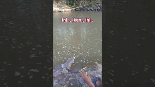 Download lagu spot mancing andalan #shortsviral #fishing #mancing #shorts #mikro fishing mp3 Download lagu spot mancing andalan #shortsviral #fishing #mancing #shorts #mikro fishing mp3