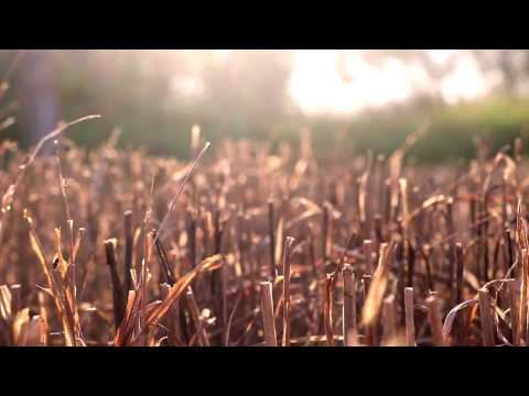 Daina.LT 2017 NOMINACIJA - gimnazijos mergaičių tercetas - Gervele