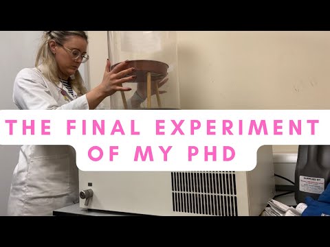 MY FINAL EXPERIMENT | Chemistry PhD lab vlog