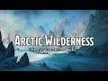 Arctic Wilderness | D&D/TTRPG Music | 1 Hour