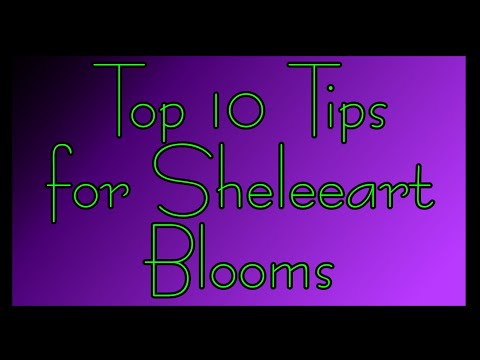 #32 - Top 10 Tips for Sheleeart Blooms - Rain & Pours