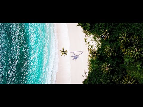 Welcome to Mentawais