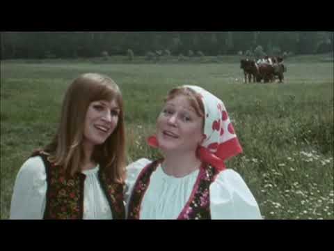 Darmo, synečku – BROLN (1978)