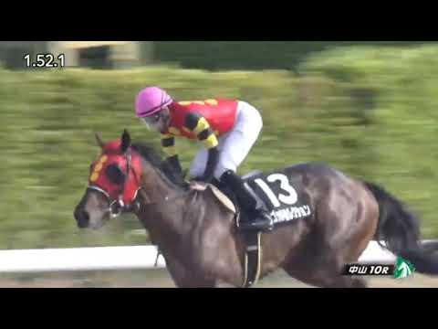 God Selection Wins 2021 Fukuryu Stakes: Road To Kentucky Derby