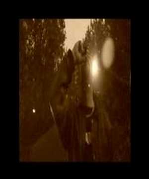 ASPHALTLITERATEN - Diese Sicherungen