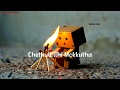 Chey Chey Kalapakura Song Lyrics Status Video HD What Sapp Status