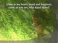 Come As You Are Deidre Brown Paul Gurr