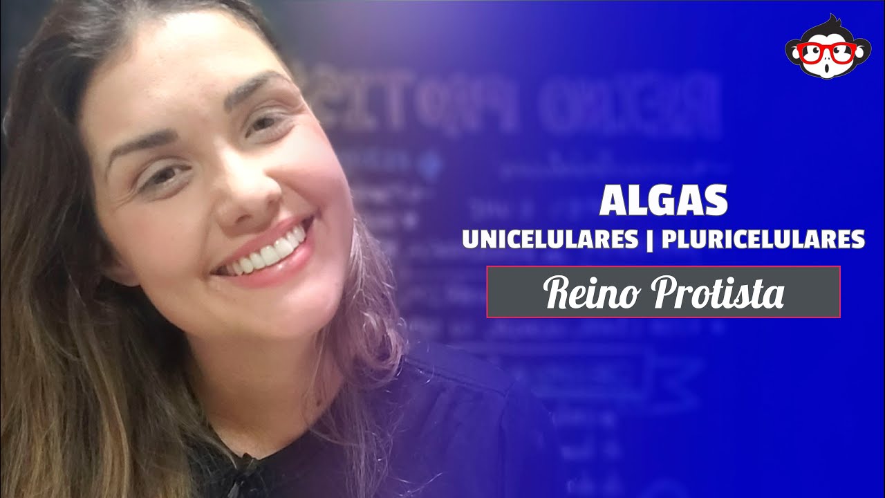 Reino Protista | Algas (Unicelulares e Pluricelulares) 🐵📚