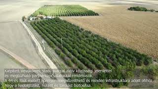 Meggy Neked – Megyültetvényből jövedelmező vállalkozás Békéscsaba közelében