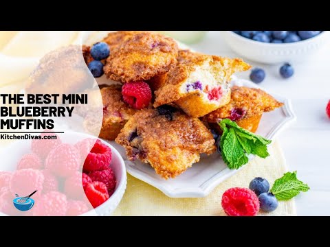 download lagu mp3 mp4 Mini Blueberry Muffin Recipes, download lagu Mini Blueberry Muffin Recipes gratis, unduh video klip Mini Blueberry Muffin Recipes