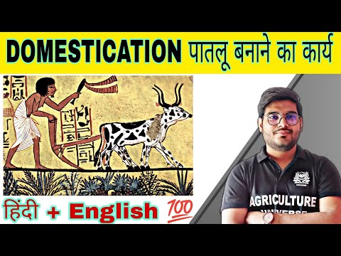 defination allopolyploid allopolyploid kya hai allopolyploid in hindi what is allopolyploid