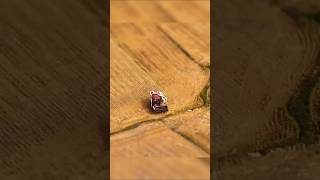 Tilt-Shift.  #photography #photographytipsandtricks #videotips #tiltshift #miniature