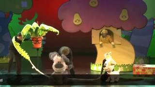 Alles is Fijn!, Woezel en Pip, zondag 5 januari in het Isala