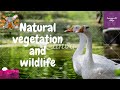Natural Vegetation And Wildlife Geography Class 8 Part 1