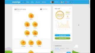 Five-Hundredth Day in Duolingo