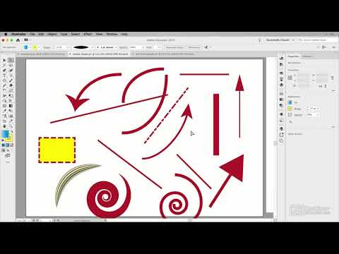 Starting Course for Illustrato Video