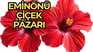 Eminönü Tarihi ÇİÇEK PAZARI [Rengarenk Bir Dünya]