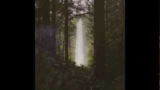 Teen Daze - Garden 1