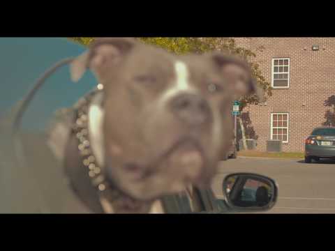 GlitchMan x RYM Main - Pick N Roll