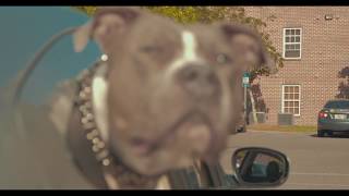 GlitchMan x RYM Main - Pick N Roll