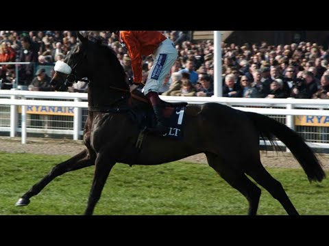 LE CHEVAL AQPS OU AUTRE QUE PUR SANG - LES ORIGINES ET LES CARACTÉRISTIQUES