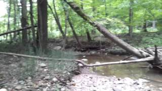 preview picture of video 'Small tributary of the Chagrin River in northern Ohio'