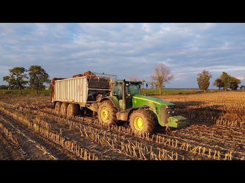 ☆ROZRZUCANIE OBORNIKA I SIEW PSZENICY 2022!☆RYK JELENIA!☆JOHN DEERE 8130☆JOHN DEERE 8400R☆AGROKUBA☆