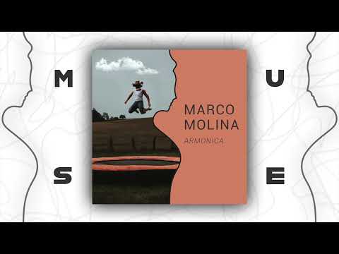 Marco Molina - Armonica