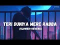 Teri Duniya Mere Rabba Slowed Reverb Sahir Ali Bagga