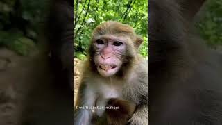 Download lagu zzz mp3 Download lagu zzz mp3