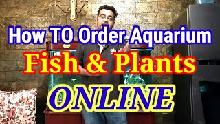 How To Order Aquarium Fish Online In India / Best Website To Order Fishes & Plants