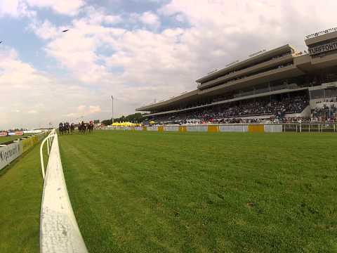 BETTING WORLD COLTS GUINES FINISH