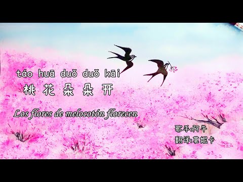Canci&oacute;n China espa&ntilde;ol sub HSK 3 【 桃花朵朵开 t&aacute;o huā duǒ duǒ kāi 】Car&aacute;cter + pinyin + espa&ntilde;ol听歌学汉语